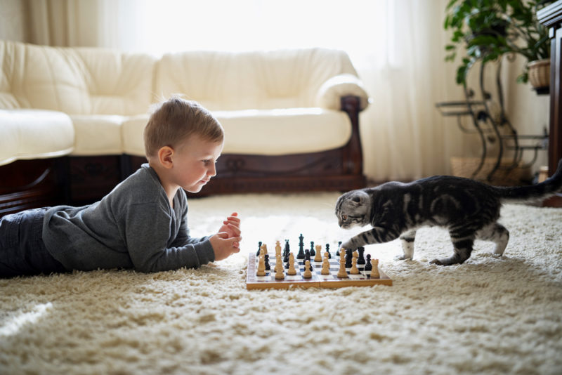 3 Tips for Pet Lovers to Improve Their Home’s Indoor Air Quality
