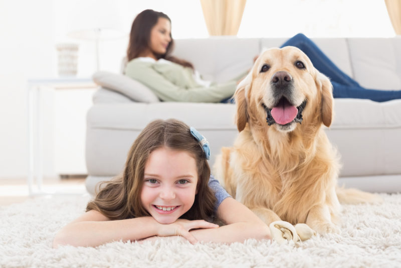 How Does Flooring Impact Indoor Air Quality?