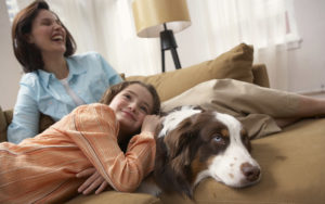 Pets Impact Indoor Air Quality
