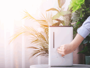 Impacts Of Salt Air On Your HVAC System in Fort Lauderdale, FL